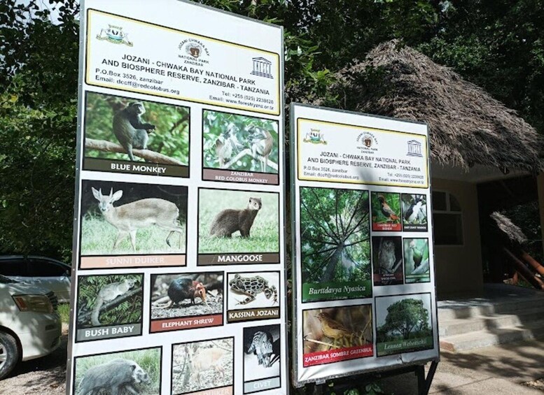 A wildlife information board with pictures of animals like the blue monkey, sunni duiker, and elephant shrew. 1