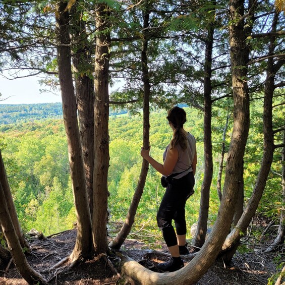 A person hiking in a forest with tall trees and a view of a green landscape. 3