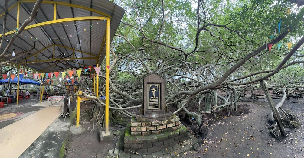 A gazebo with a brick base, surrounded by trees with intertwined branches. 3