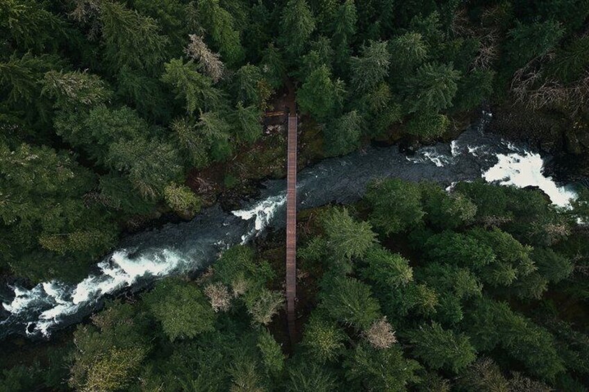 A river flowing through a dense forest with a bridge crossing over it. 3
