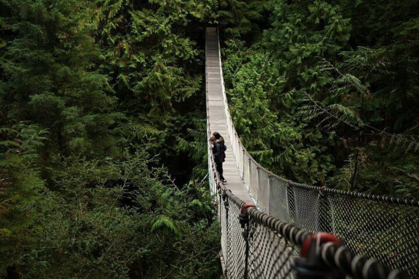 A suspension bridge surrounded by dense forest. 1
