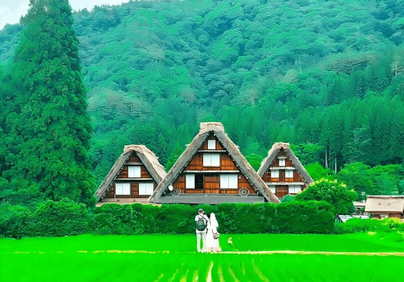 A traditional house with a triangular roof, surrounded by lush green fields and dense forest. 1