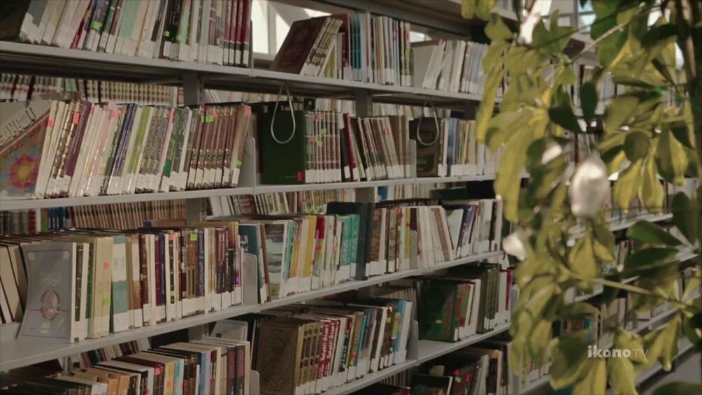 A library with bookshelves filled with books. 4