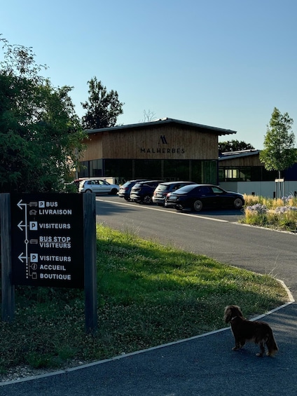 A parking lot with cars, a sign indicating a bus stop for visitors, and a building with the sign 'MALHERBES'. 1