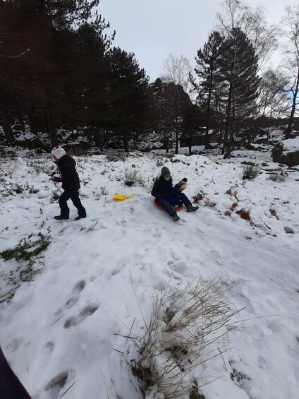 Two people sledding on a snowy slope with trees in the background. 5