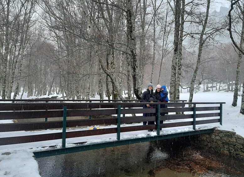 A wooden bridge over a small stream in a snowy forest. 3