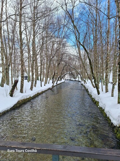 A snow-covered pathway flanked by trees, leading to a small water channel. 4