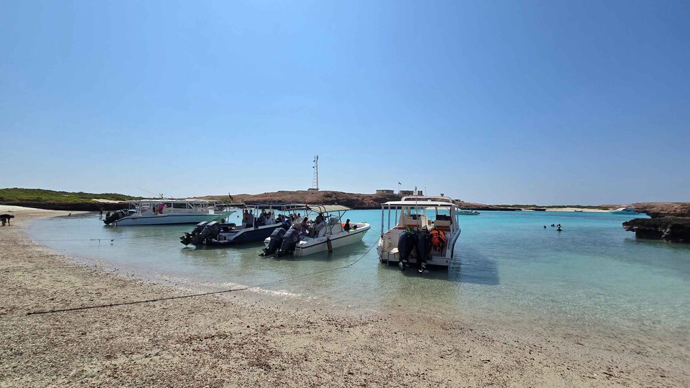 A beach with boats docked, clear water, and a distant hill. 1