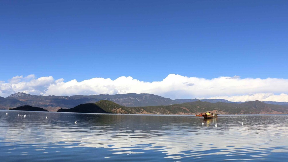Un lac paisible, avec des cygnes, un petit bateau et des montagnes en arrière-plan. 5