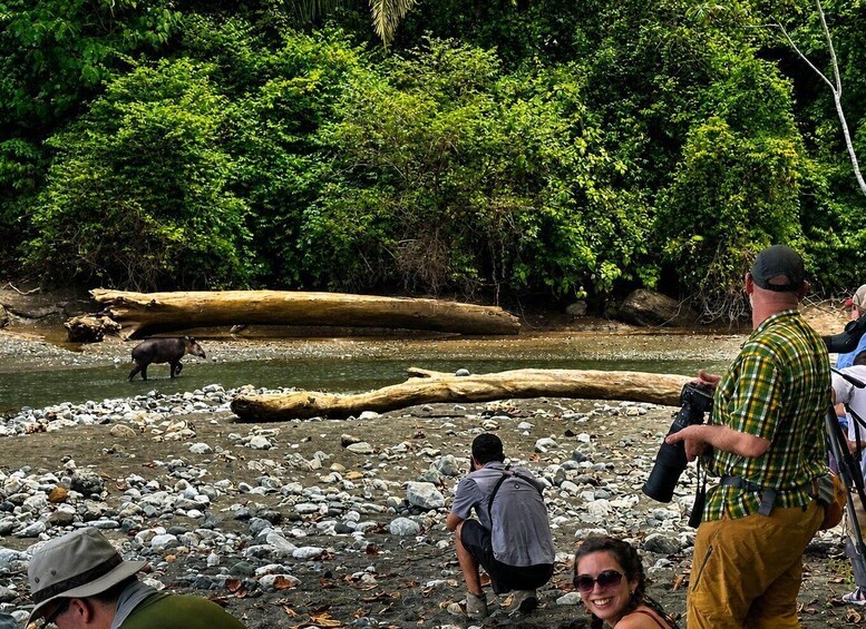 A riverbank with a large log, a person with a camera, and a bear in the water. 1