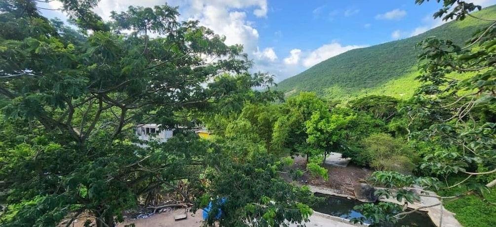 A lush green landscape with dense foliage, a small stream, and a hill in the background. 3