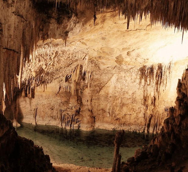 A cave with stalactites and stalagmites, a pool of water, and rocky formations. 4