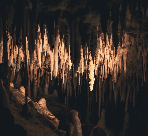 A cave with stalactites hanging from the ceiling. 3