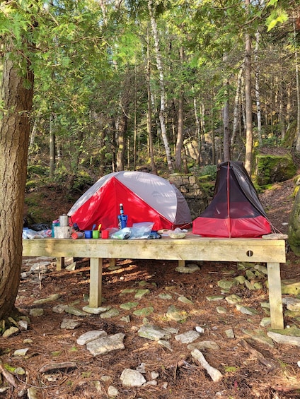 A camping setup with two tents on a wooden bench in a forest. 2