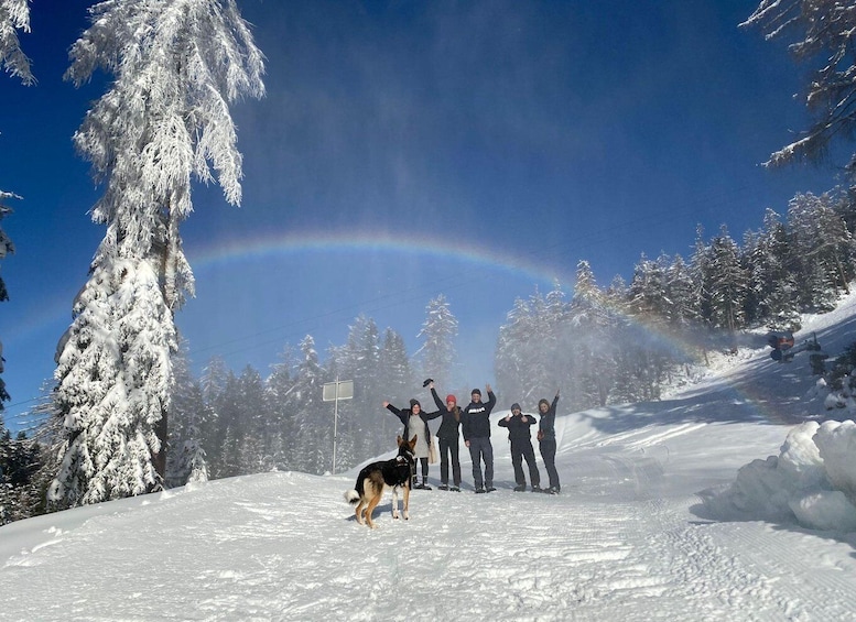 A group of people and a dog on a snowy mountain with a rainbow in the background. 1