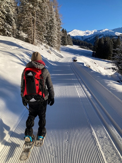 A person cross-country skiing on a snow-covered path with trees and mountains in the background. 5