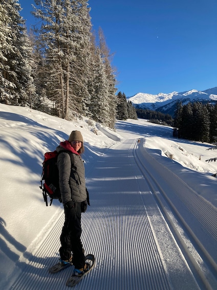 A person cross-country skiing on a snow-covered trail with trees and mountains in the background. 3