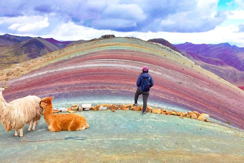 A person standing on a colorful mountain ridge with llamas. 1