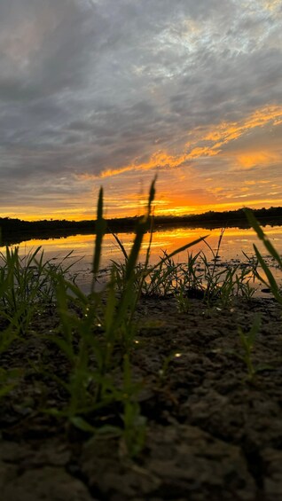A sunset over a body of water with grass in the foreground. 5