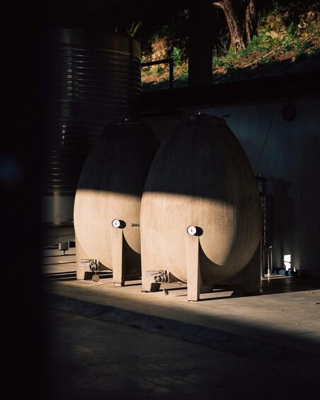 Picture 14 for Activity Peneda-Gerês National Park & Vinho Verde Tasting – Day Trip 5