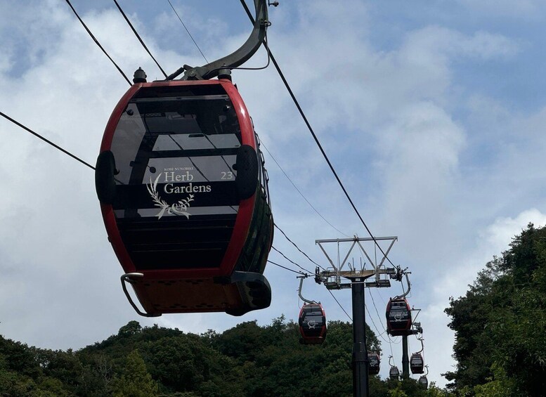 A cable car labeled 'Kobe Nombiki Herb Gardens' suspended above a forested area. 3