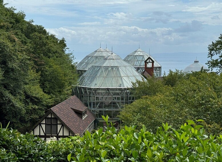 A greenhouse with a glass dome structure surrounded by dense greenery and a traditional house. 5
