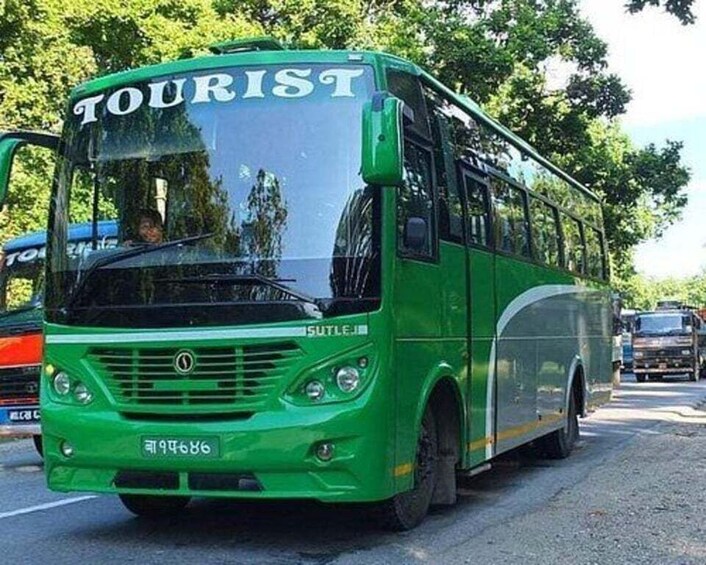 A green bus with 'TOURIST' written on the front, parked on a road with trees in the background. 3