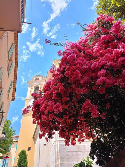 A building with pink flowers in front of a tower. 3