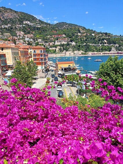 A coastal town with bougainvillea flowers in the foreground, a marina with boats, and buildings on a hillside. 1