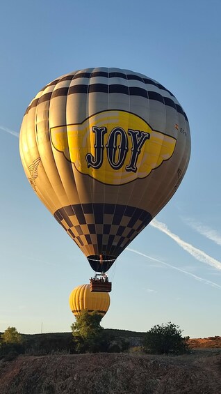 A hot air balloon with the word 'JOY' on it, flying over a landscape with trees and hills. 4