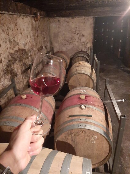 A hand holding a wine glass filled with red wine, with wooden barrels in the background. 4