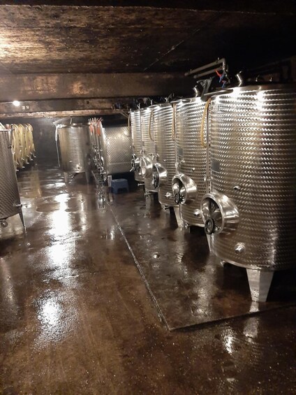 Stainless steel fermentation tanks in a dimly lit industrial setting. 2