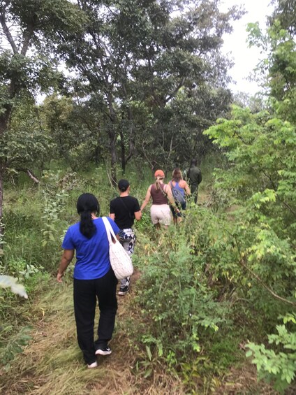 A group of people hiking on a forest trail surrounded by dense greenery. 2