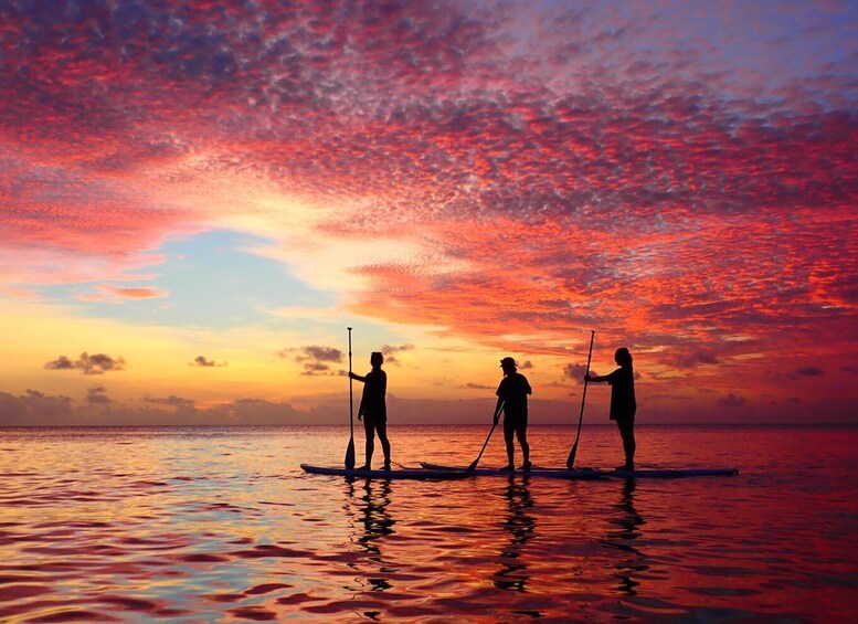 Three people paddleboarding on calm water during sunset with a vibrant sky. 2