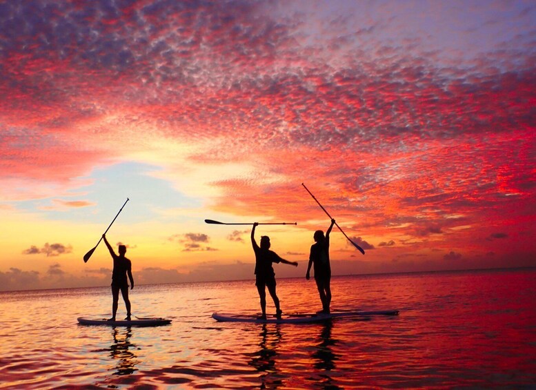 Three people paddleboarding on a calm sea during sunset. 3