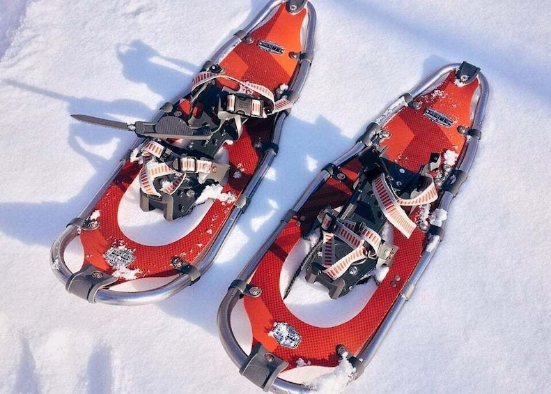 Two red snowshoes with metal frames and straps on a snowy surface. 5