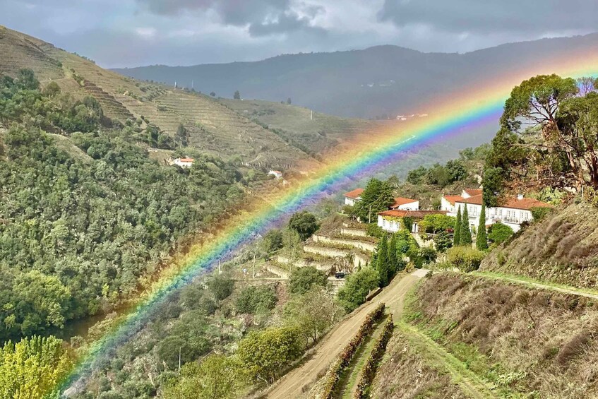 A vineyard with terraced fields and a rainbow. 2