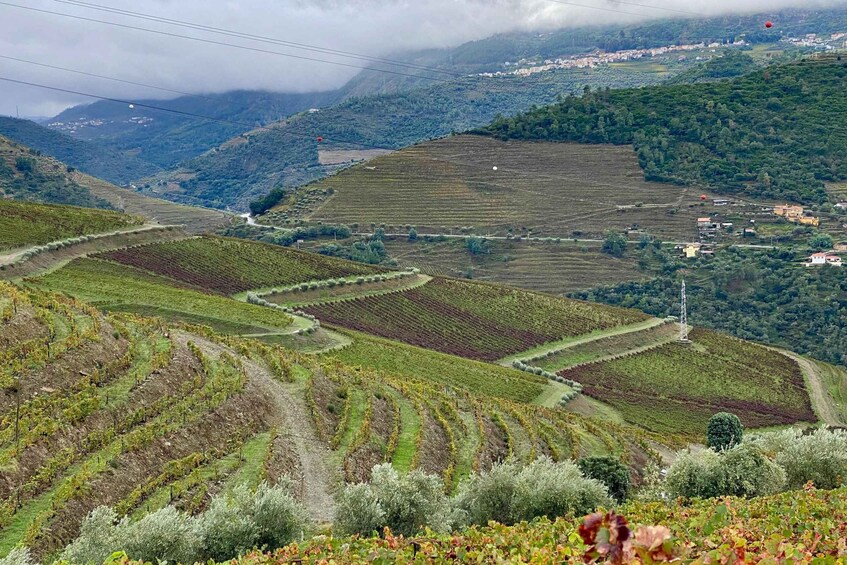Terraced vineyards, a winding road, and a village in a hilly landscape. 4