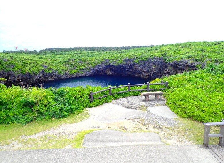 A coastal landscape with a wooden staircase leading to a bench overlooking a body of water. 5