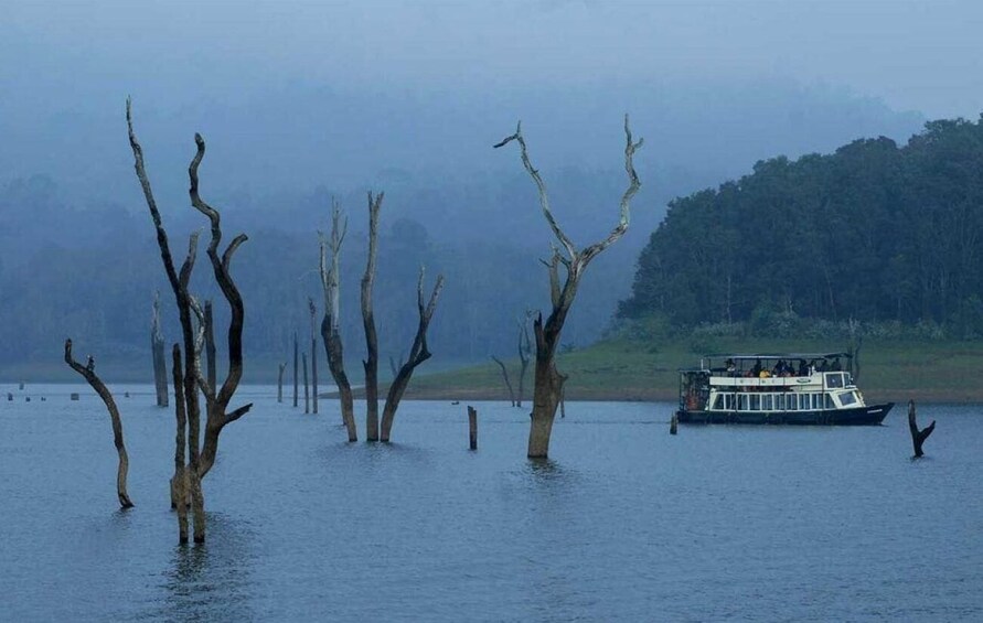 A boat on a foggy lake with dead trees in the water. 2