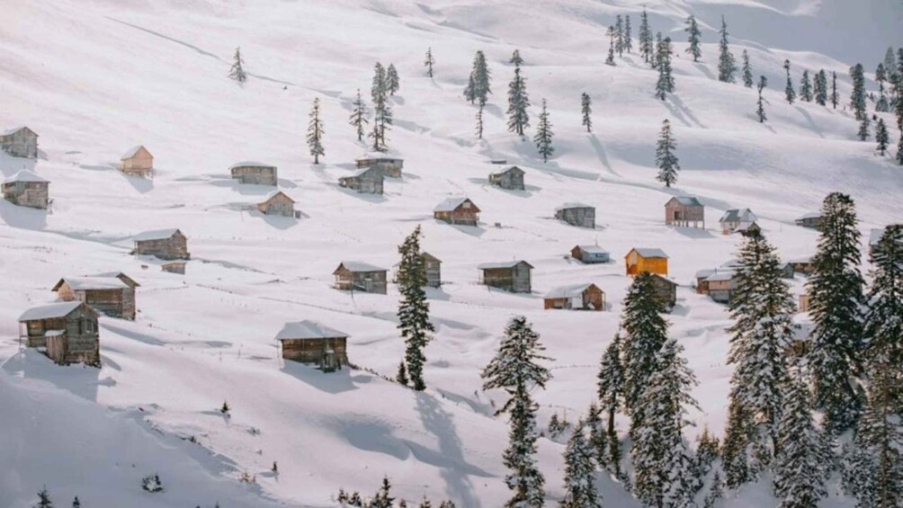 A snow-covered mountain with scattered wooden cabins and evergreen trees. 2