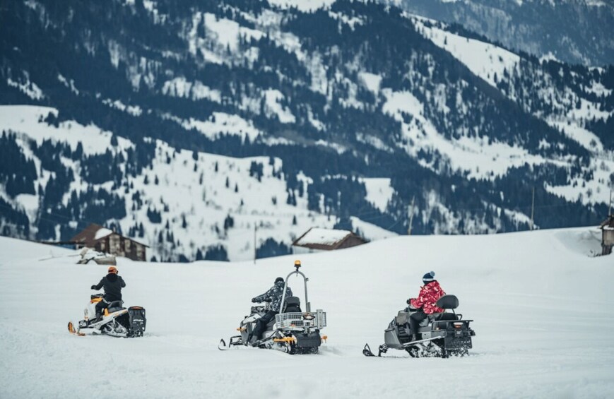 Three snowmobiles on a snowy mountain with a forested backdrop. 4