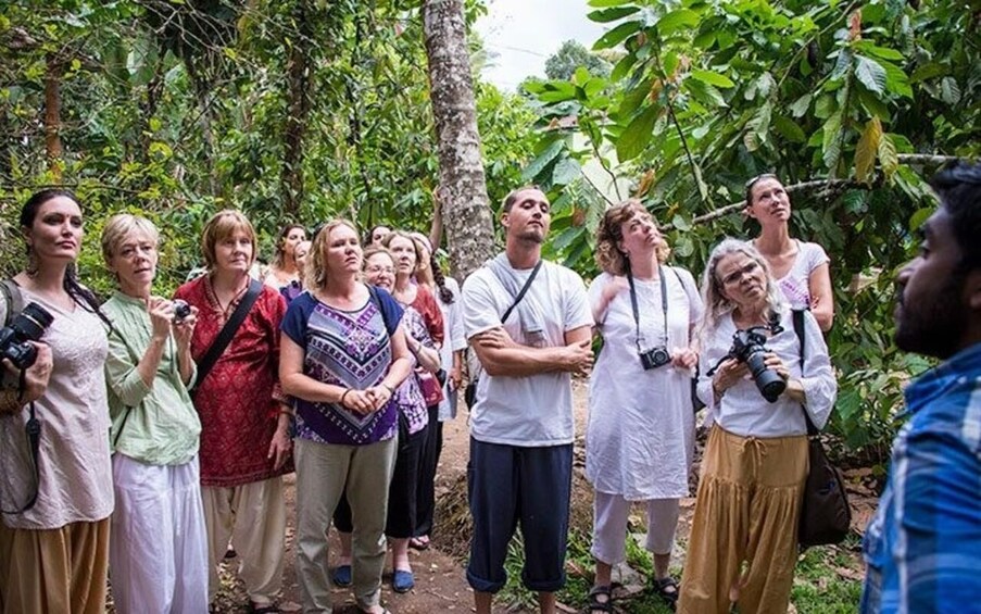 A group of people standing in a forested area, some holding cameras. 3