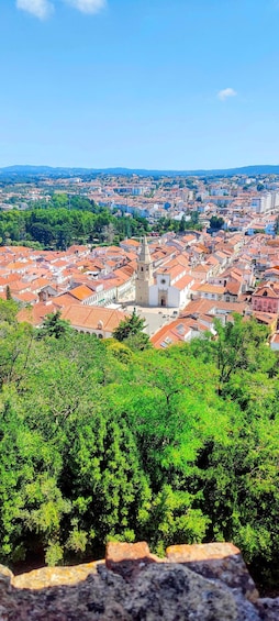 A cityscape with a prominent church, red-roofed buildings, and green trees. 3