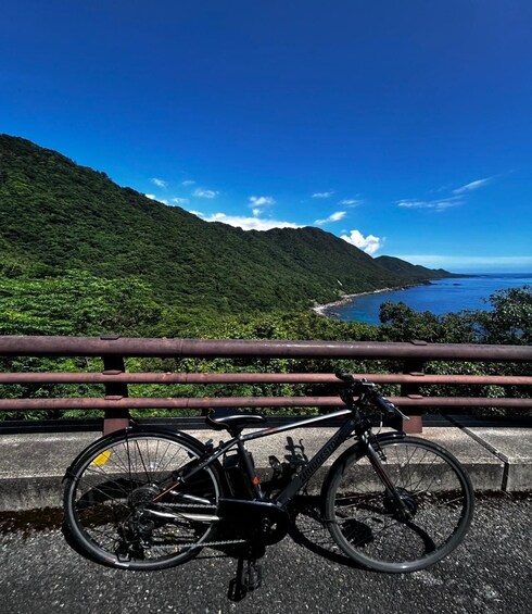 A bicycle parked on a bridge with a view of a coastal landscape and green hills. 5