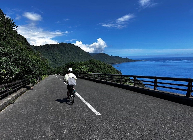 A cyclist on a paved road with a scenic view of a coastline and mountains. 1