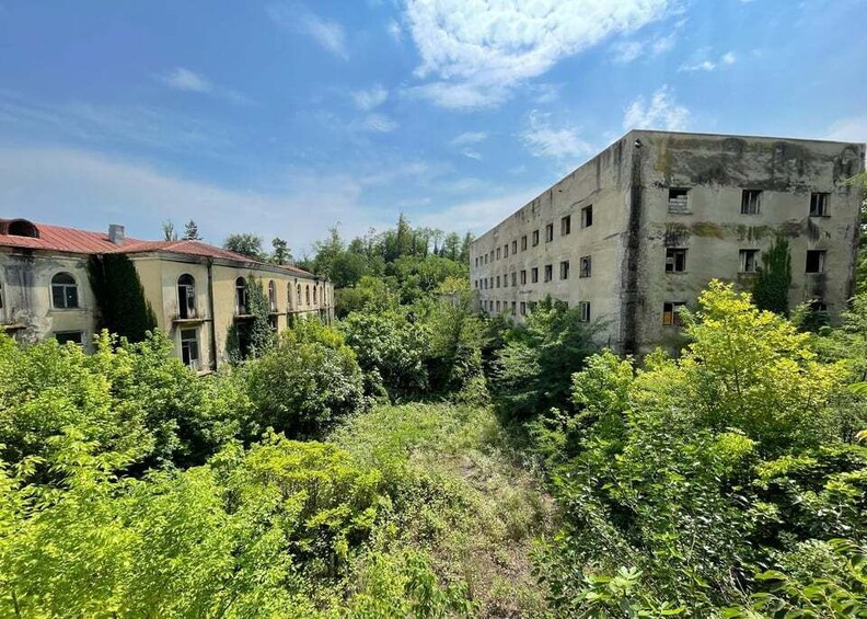 A dilapidated building surrounded by overgrown vegetation. 4