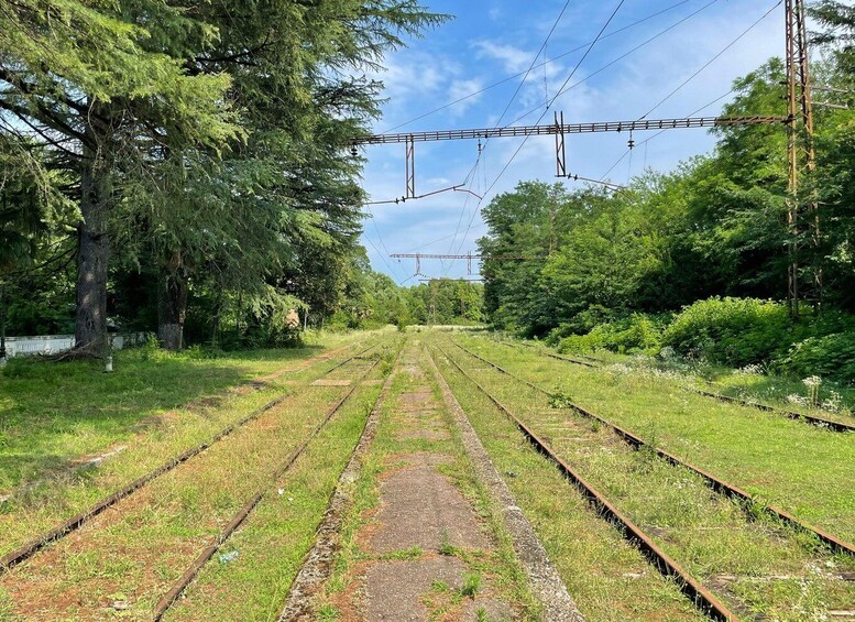 Railway tracks surrounded by greenery and power lines. 5