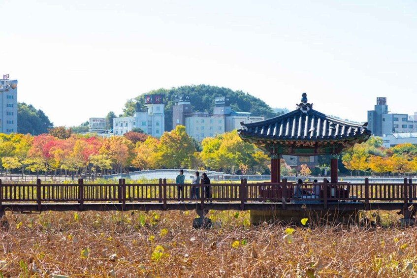 A traditional pavilion in a park with autumn foliage, a bridge, and a cityscape in the background. 3