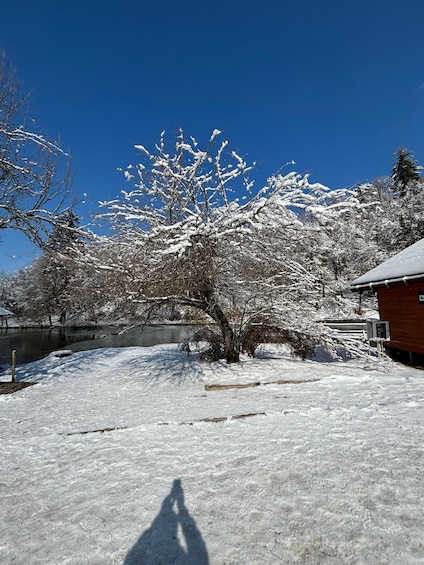A snow-covered landscape with a tree in the foreground and a building to the right. 2
